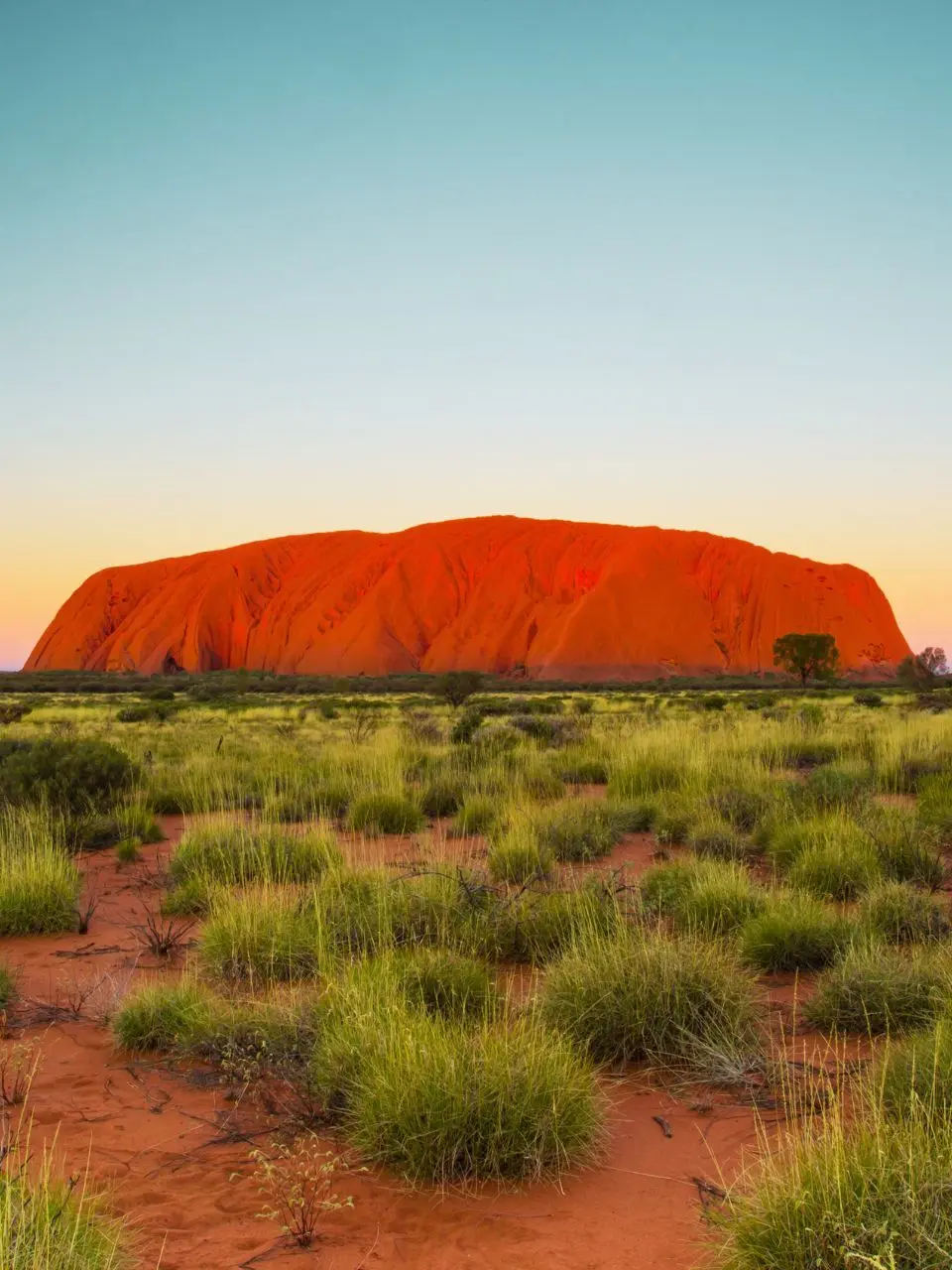 An image of Uluru, also known as Ayers Rock, the massive reddish sandstone rock formation located in the southern part of Northern Territory, Australia. Seen at the far back, with green lumps of grass on the foreground, image size with aspect ratio 3x4.